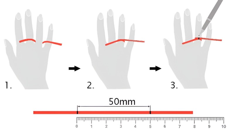 Đo size nhẫn bằng dải giấy rồi quy đổi sang size nhẫn phù hợp