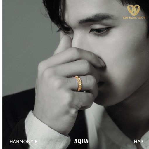 Nhẫn cưới Harmony E Aqua HA3 + HAR3 nhẫn nam thiết kế mạnh mẽ