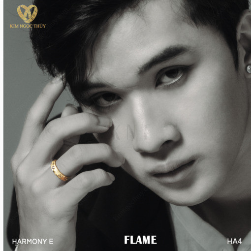 Nhẫn cưới Harmony E Flame HA4 + HAR4 nhân nam tối giản và tinh tế