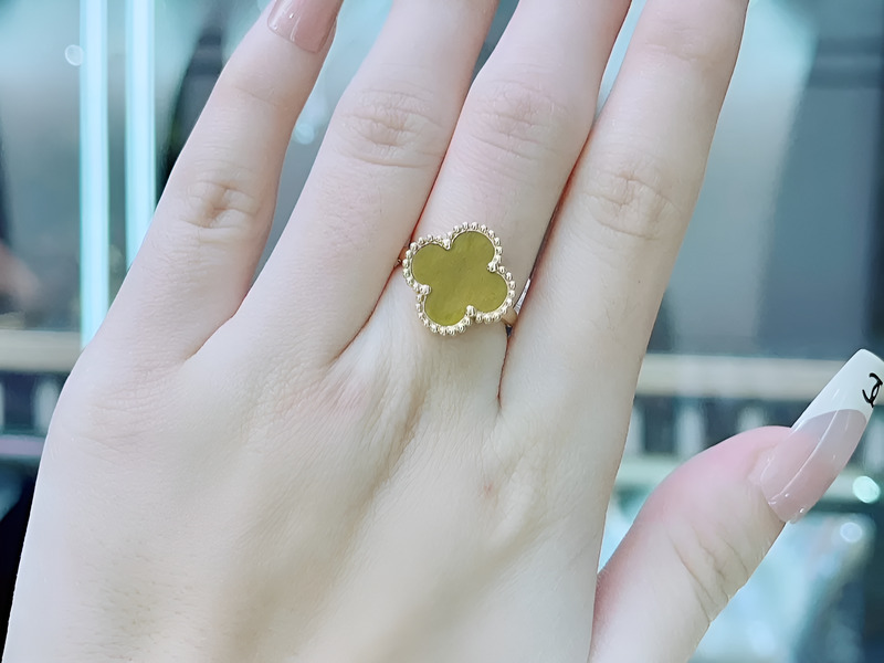 Một bàn tay đang cầm một nhánh cỏ bốn lá thật.