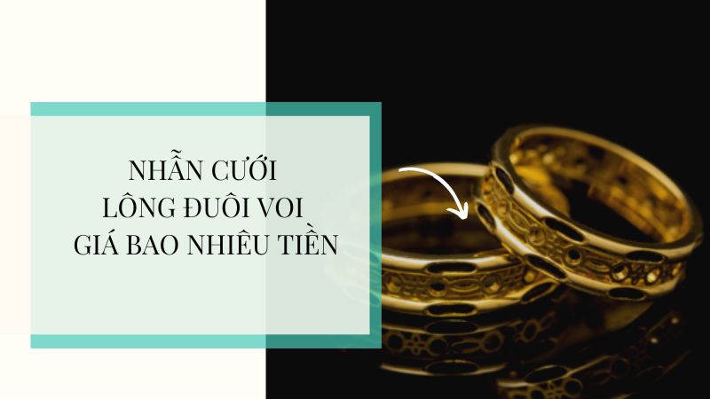 nhẫn cưới lông đuôi voi giá bao nhiêu