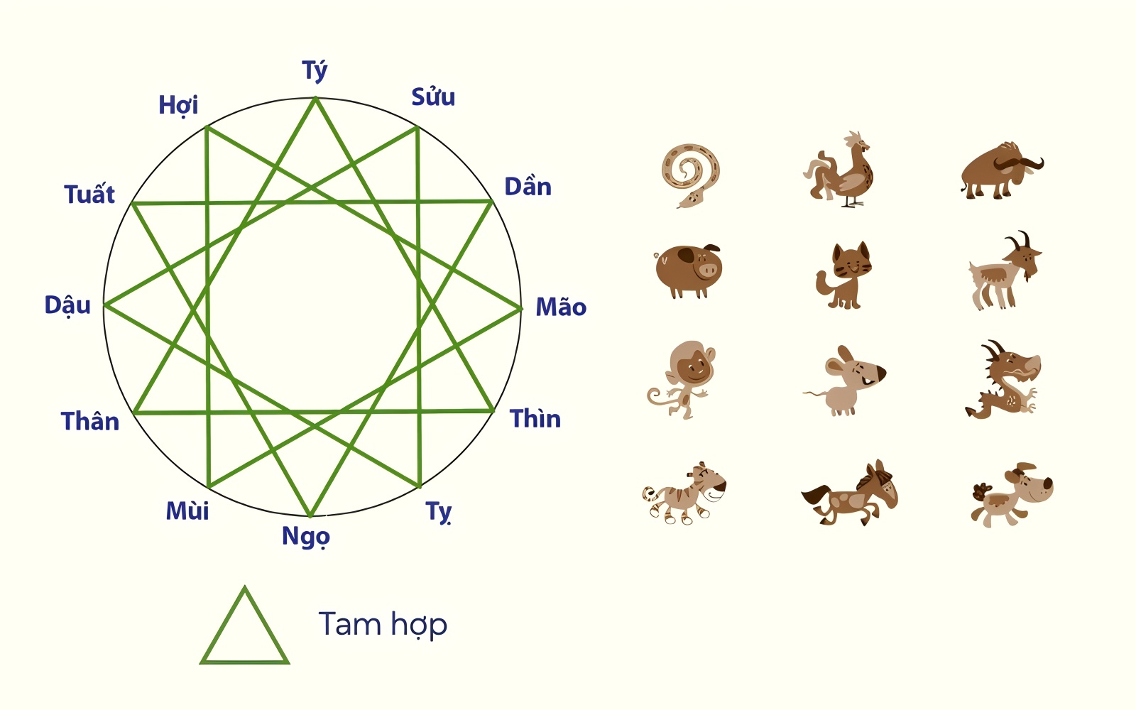 Tìm hiểu về tam hợp và ý nghĩa văn hóa.