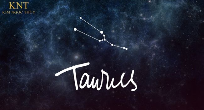 TÍNH CÁCH 12 CUNG HOÀNG ĐẠO KHI YÊU SẼ NHƯ THẾ NÀO?