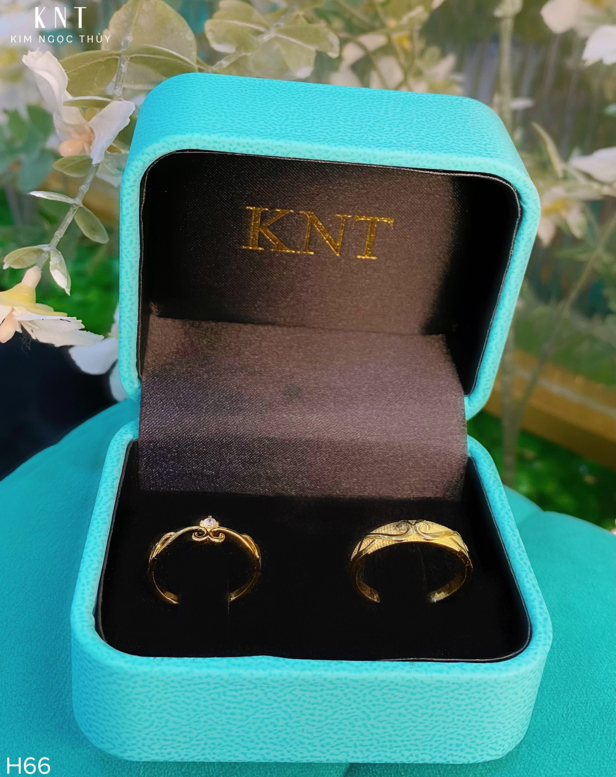 Nhẫn Cưới H66