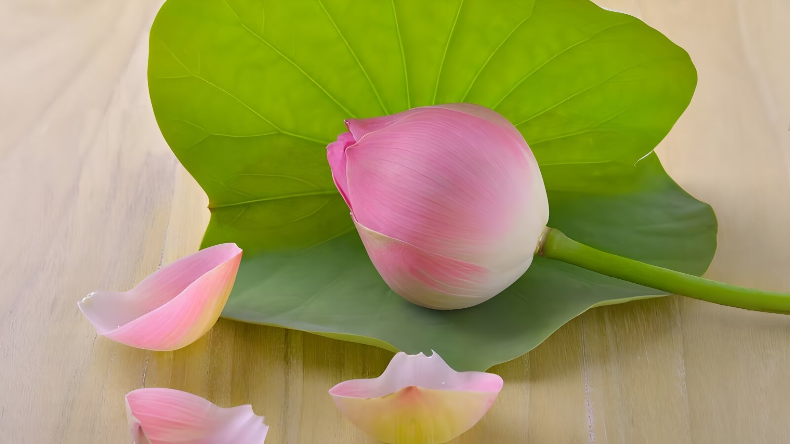 Bó hoa cưới kết hợp hoa sen và các loại hoa phụ