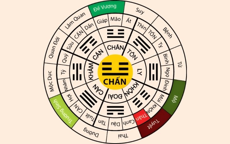 Nam 1997 và Nữ 1997 (Đinh Sửu) đều có chung Cung mệnh là Chấn