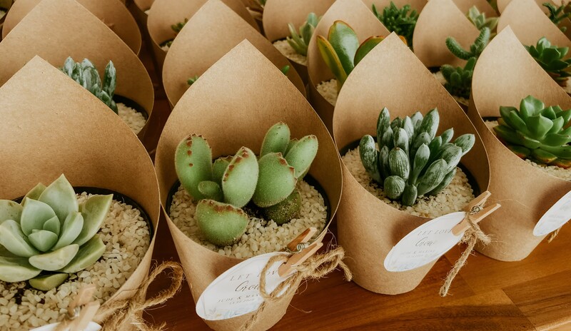 Quà đáp lễ xanh, thân thiện môi trường.