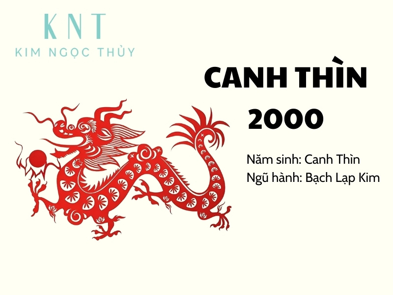 Tổng quan về người sinh năm 2000.