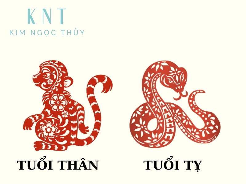 Lưu ý tuổi xung khắc Mậu Dần.