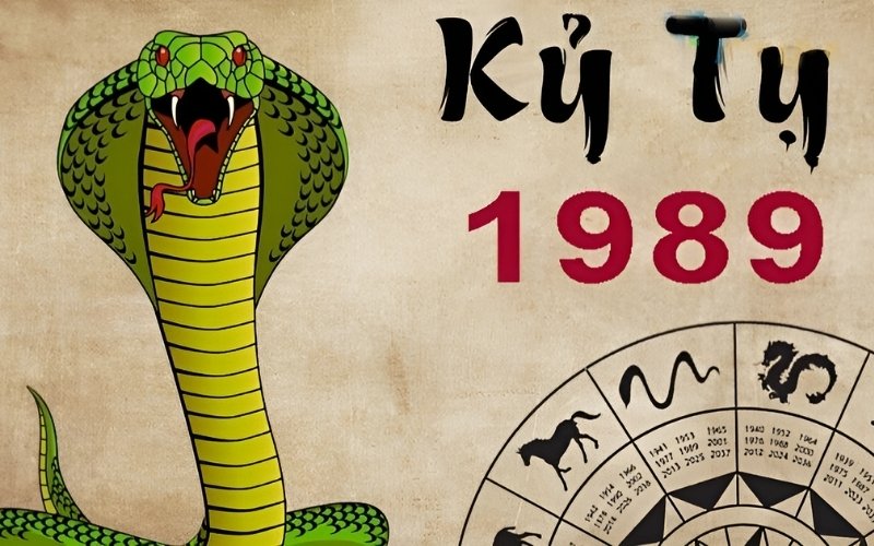 Nữ Kỷ Tỵ 1989 được đánh giá là có độ tương hợp cao khi kết hôn với Nam 1992