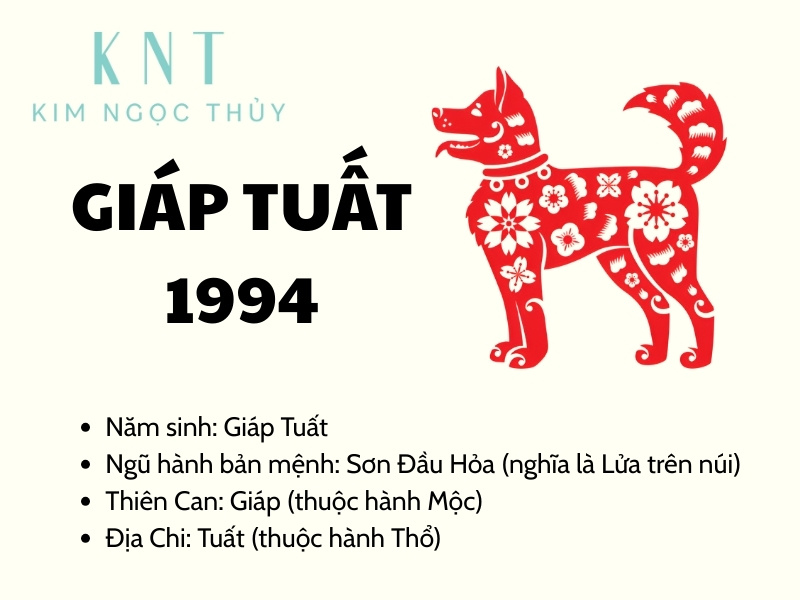 Khái quát về người sinh năm 1994.