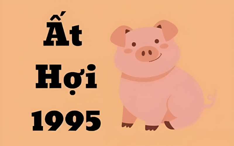 Nam 1995 Ất Hợi và nữ 1995 Ất Hợi cùng tuổi, cùng mệnh Hỏa, cần nhường nhịn.