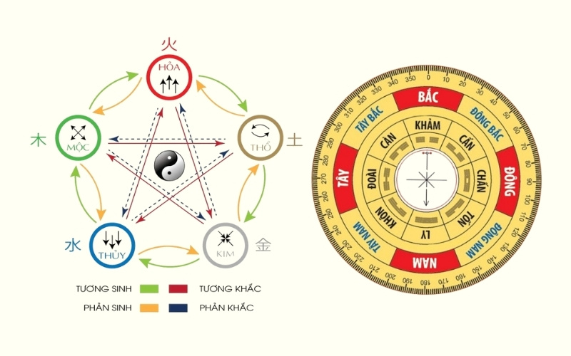 Căn cứ luận giải các tuổi hợp.