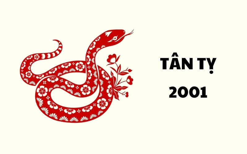 Tuổi Tân Tỵ hợp kết hôn cho Nữ Bính Tý.