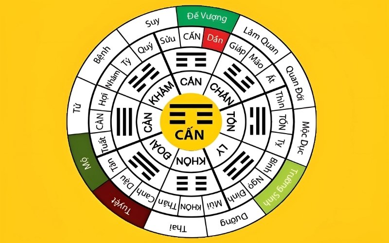 Nam 1992 thuộc cung Cấn, hành Thổ, nằm trong nhóm Tây Tứ Mệnh