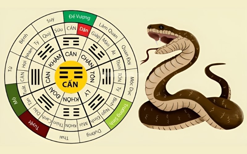 Nam 2001 thuộc Cung Cấn