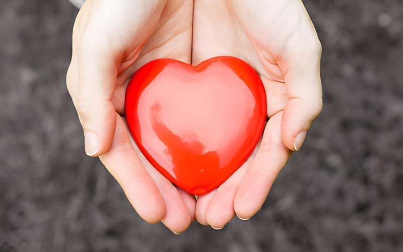 Ngoài tình yêu, sự hòa hợp tính cách và tương đồng thực tế cũng rất quan trọng