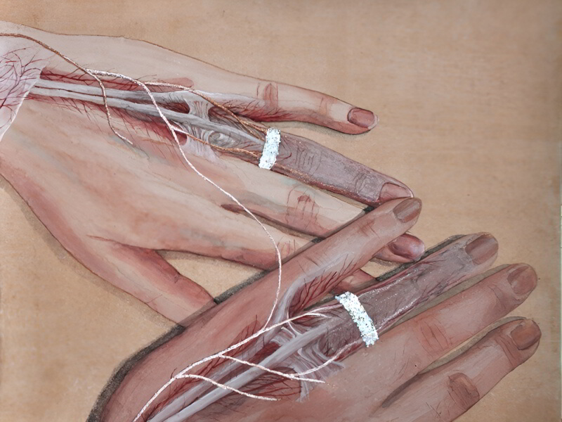 Vena Amoris: Quan niệm cổ về mạch máu tình yêu chạy đến ngón áp út