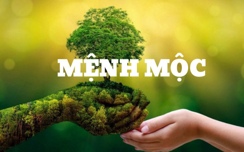 Đặc điểm tính cách nổi bật của người mệnh Mộc