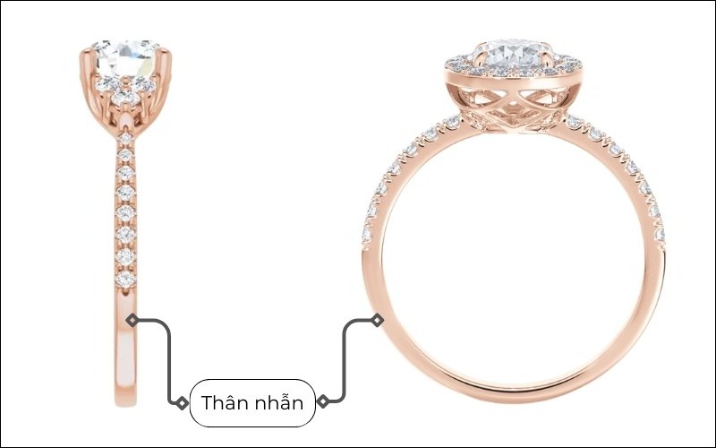 Thân nhẫn được ví như