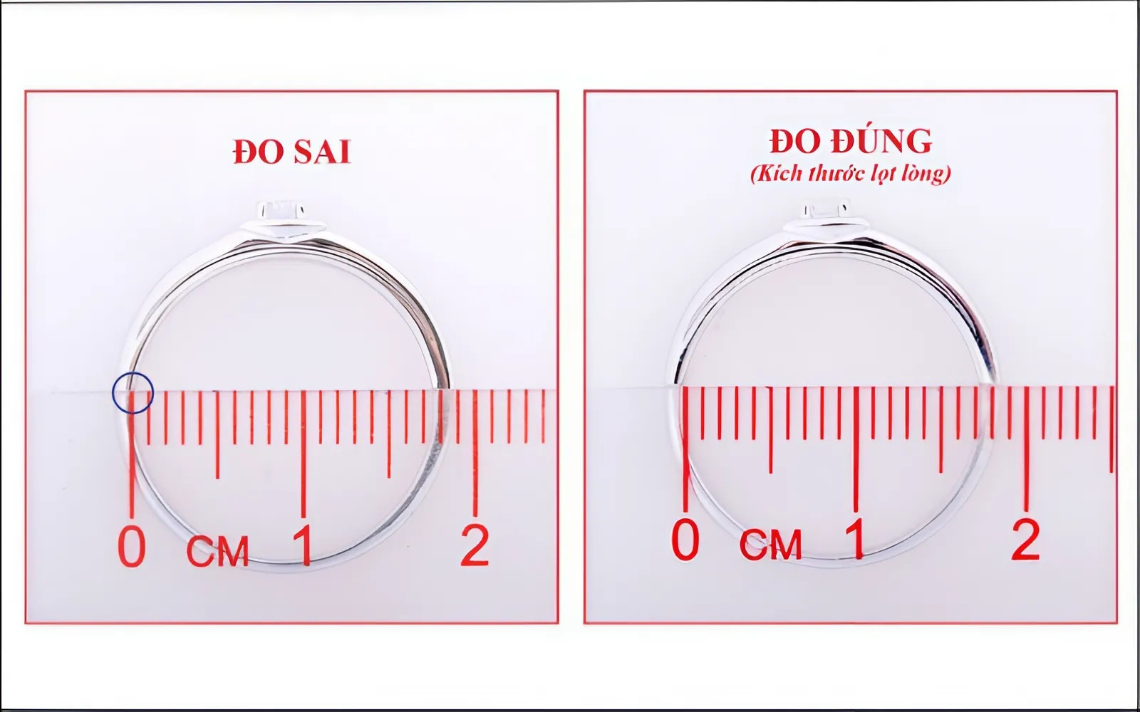 Nhìn nhầm vạch milimet trên thước kẻ, dẫn đến ghi sai số đo chu vi hoặc đường kính