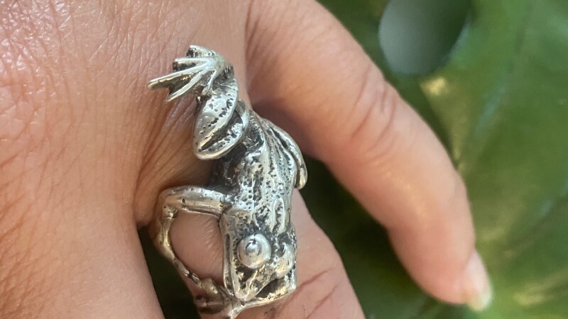 Thiềm Thừ (cóc ngậm tiền) biểu tượng của sự giàu có, sung túc