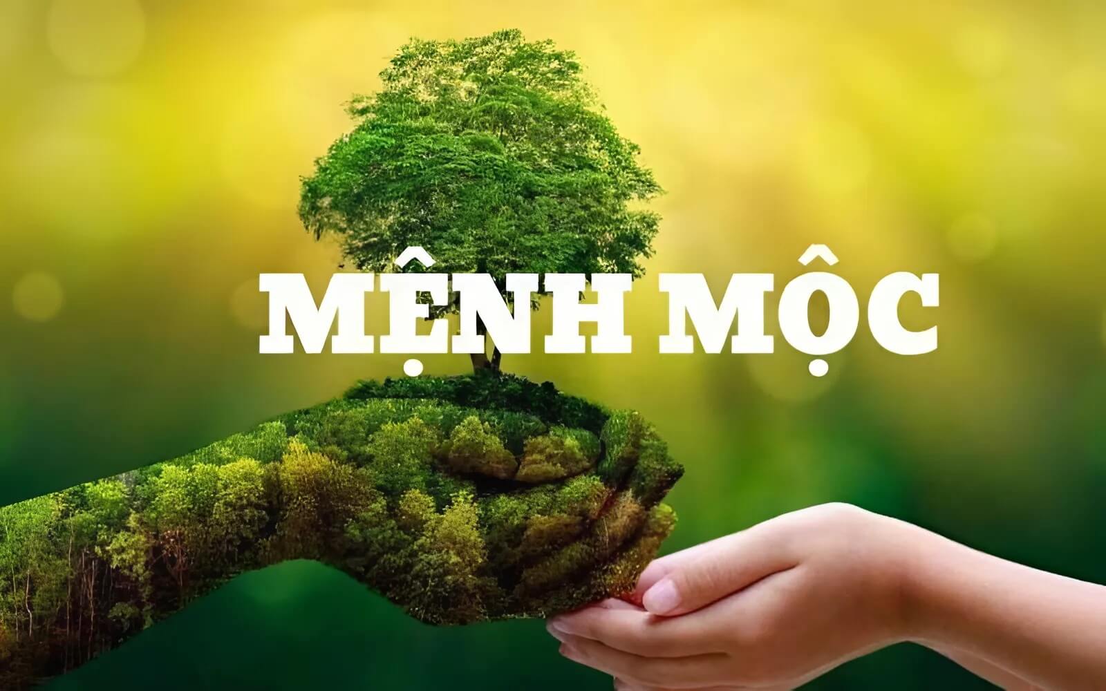 Người thuộc mệnh Mộc thường mang trong mình nguồn năng lượng dồi dào, óc sáng tạo phong phú và nhân hậu