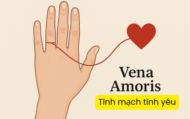 Hình ảnh Vena Amoris - Tĩnh mạch tình yêu