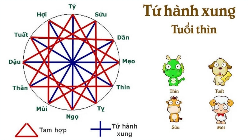 Tuất - Sửu - Mùi là tứ hành xung của Thìn