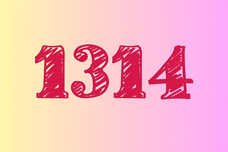 Số 1314 mang ý nghĩa trọn đời trọn kiếp