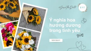 Ý nghĩa hoa hướng dương trong tình yêu và cách chọn phù hợp