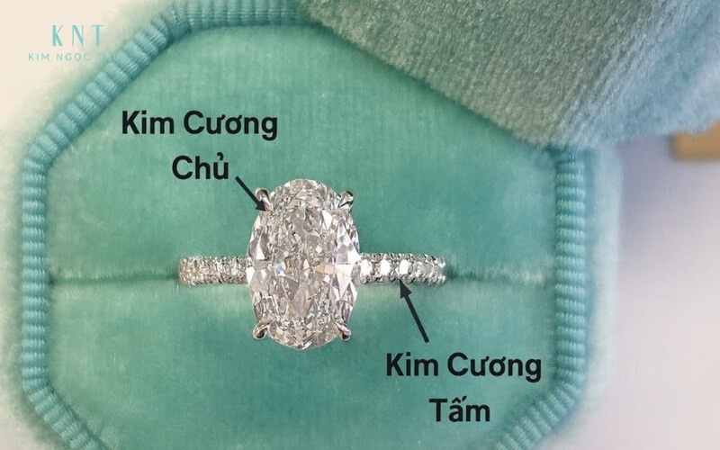 Phân biệt kim cương chủ và kim cương tấm 
