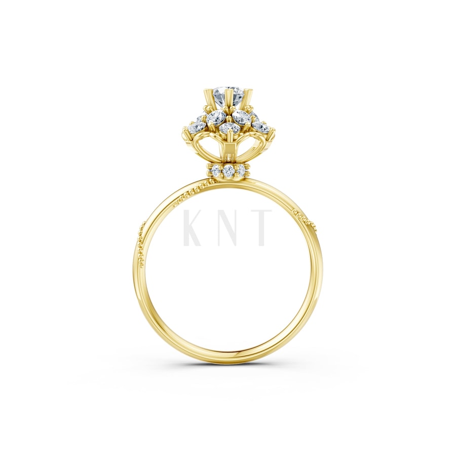 Nhẫn đính hôn Paris TBR19 Vàng Gold vàng 10K/14K/18K/607 cao cấp, thanh lịch