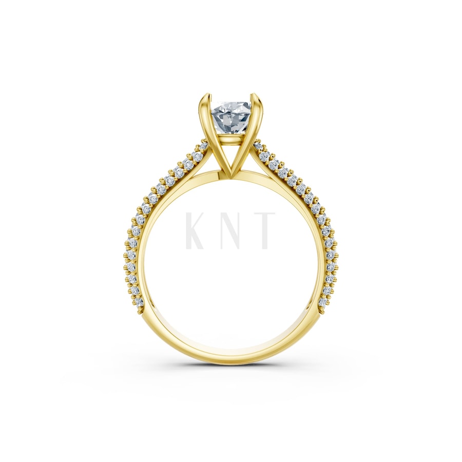 Nhẫn đính hôn đá Moissanite RM17 – ARI Vàng Gold vàng 10K/14K/18K/607 cao cấp, thanh lịch