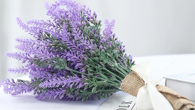 Oải hương là loài hoa gắn liền với nét lãng mạn và thơ mộng của nước Pháp