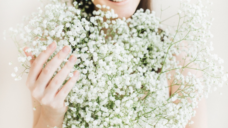 Hoa Baby có vẻ đẹp mỏng manh, tựa như hàng ngàn vì sao nhỏ lấp lánh