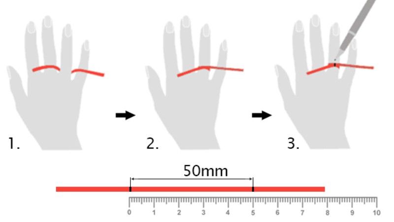 Đo size nhẫn bằng giấy đơn giản tại nhà