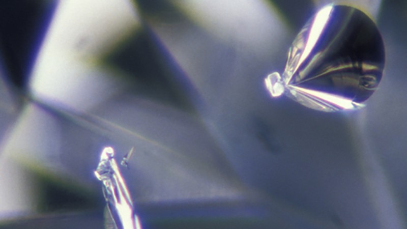 Crystal là các tinh thể khoáng vật hoặc tinh thể kim cương nhỏ nằm bên trong viên đá