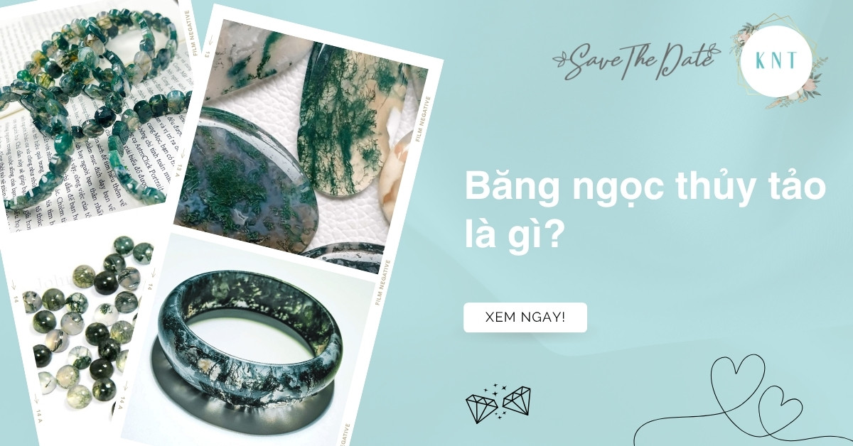 Băng ngọc thuỷ tảo là gì? Đặc điểm và công dụng nổi bật